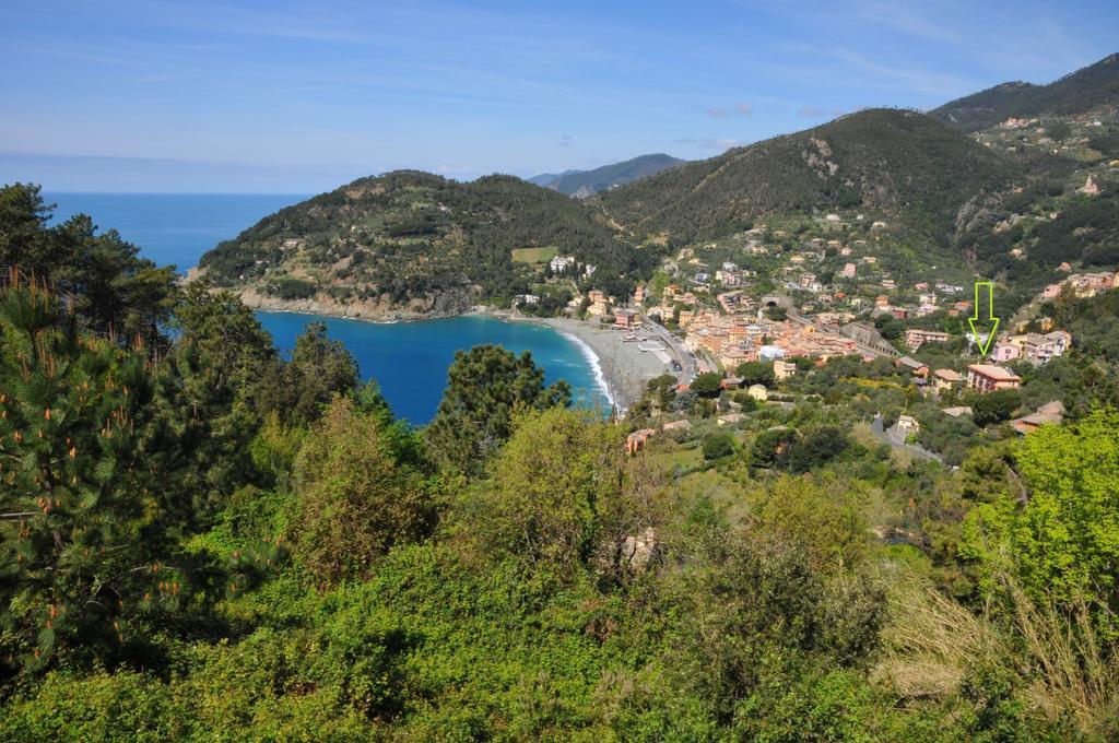 Belvedere 3*