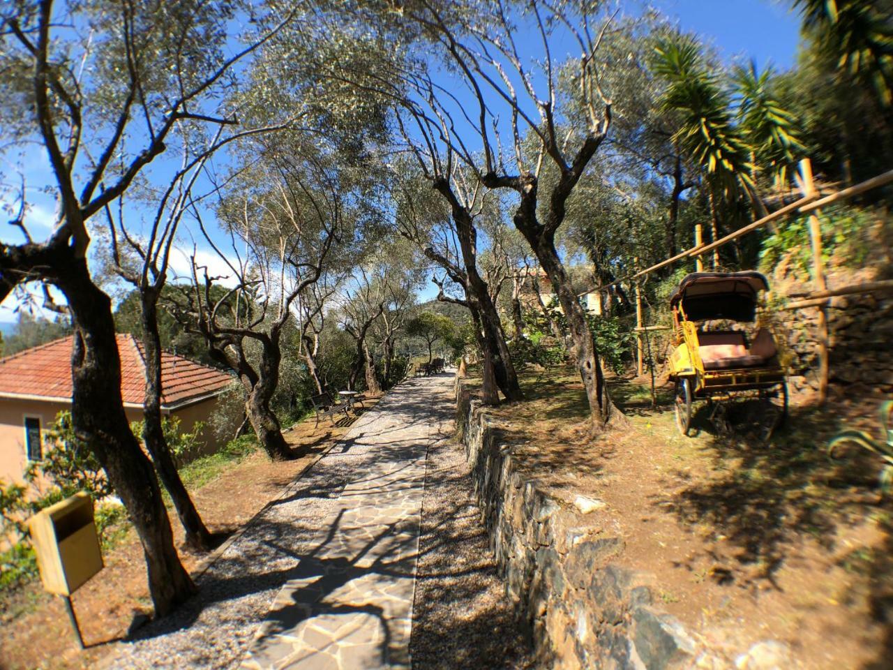 Belvedere 3*
