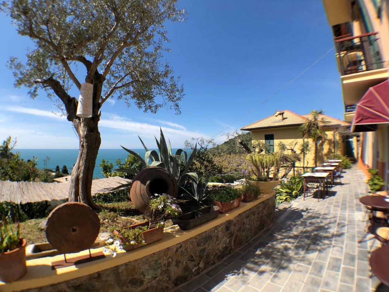 Belvedere Hotel 3*