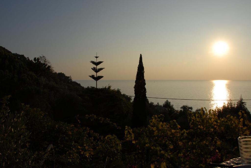 Belvedere Hotel 3*