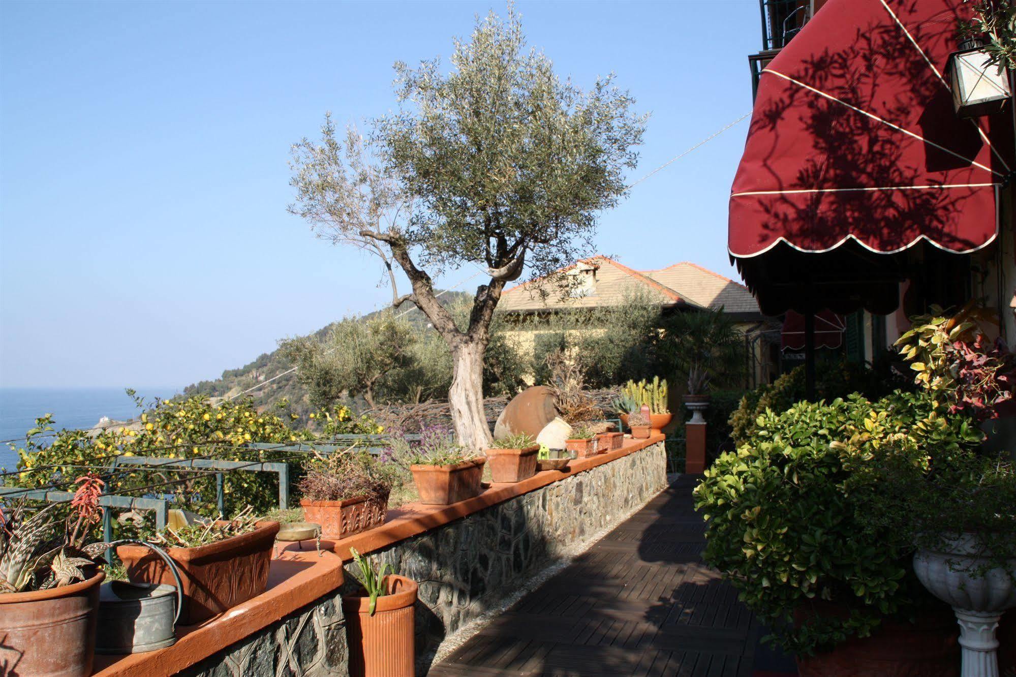 Belvedere Hotel